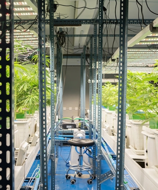 Otomasyon