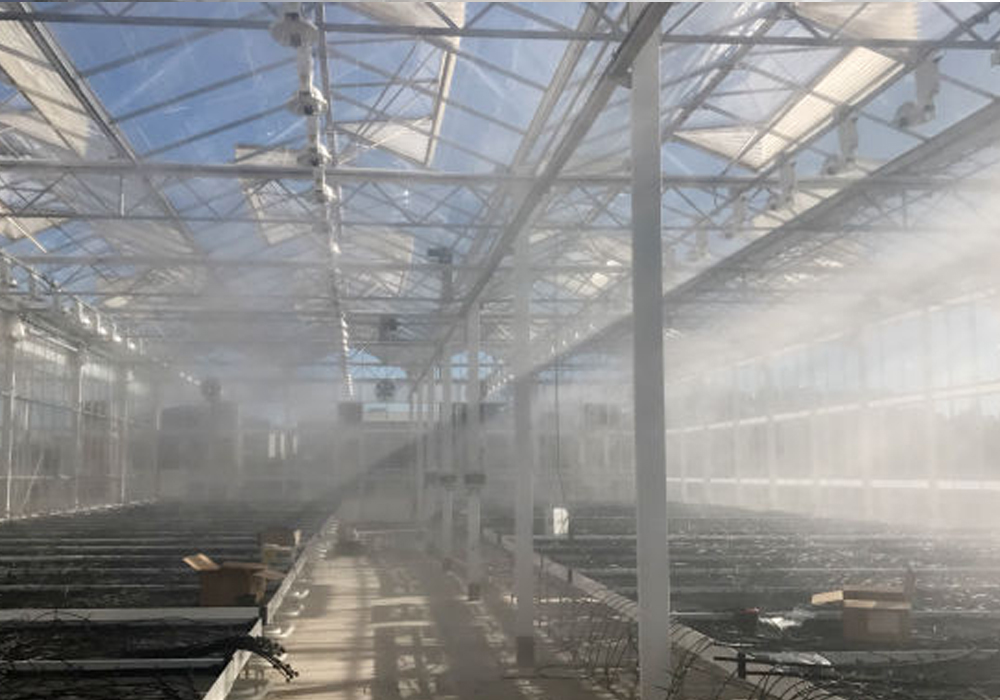 Fog Sistemi - Galeri