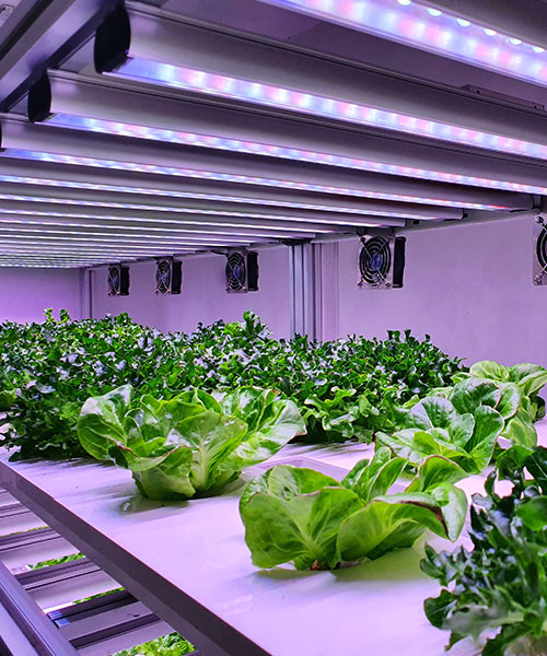 Suni Aydınlatma Sistemi