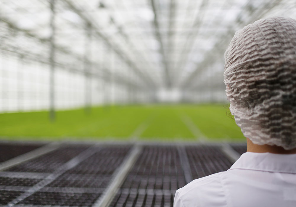 Sürdürülebilir Üretim Geleceğin Tarım Modeli