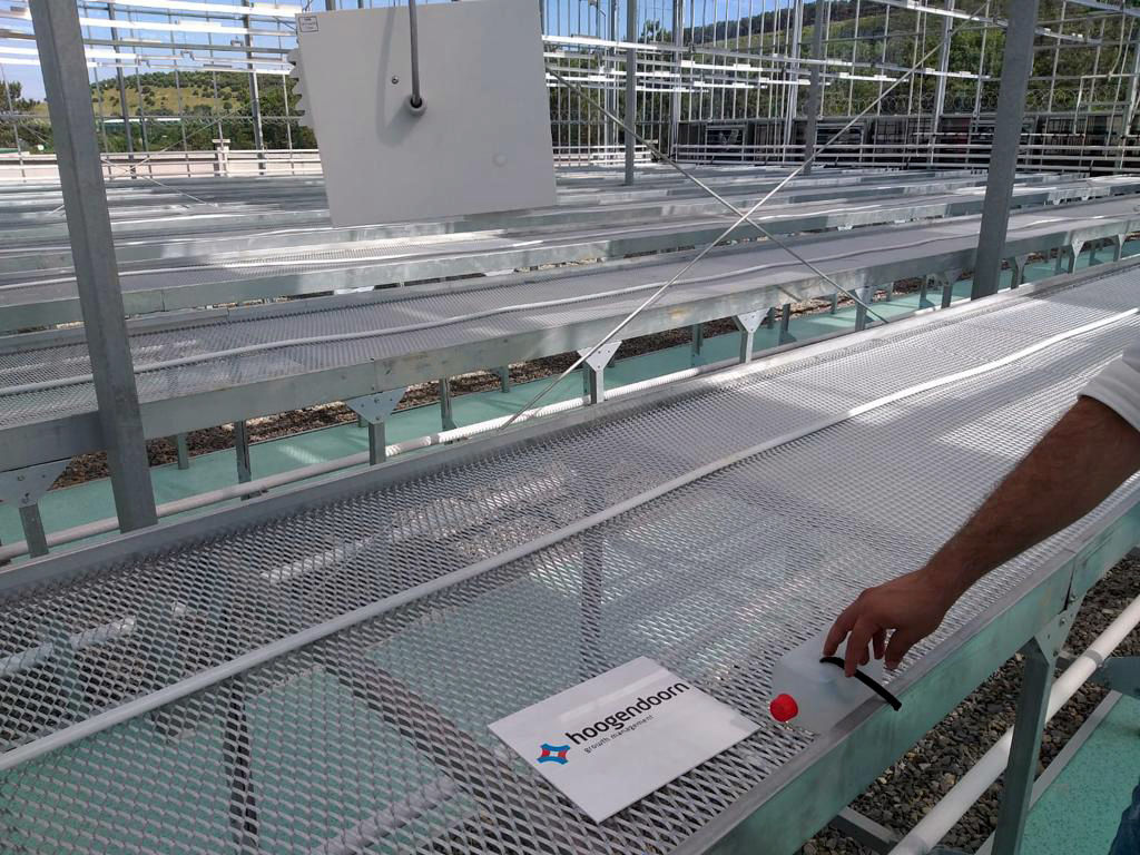 Yedi Tepe Üniversitesi